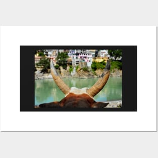 Holy Cow River Ganges Meditation Posters and Art